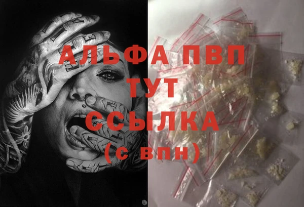 СК Нягань