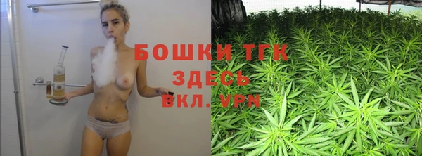 ALPHA-PVP Няндома