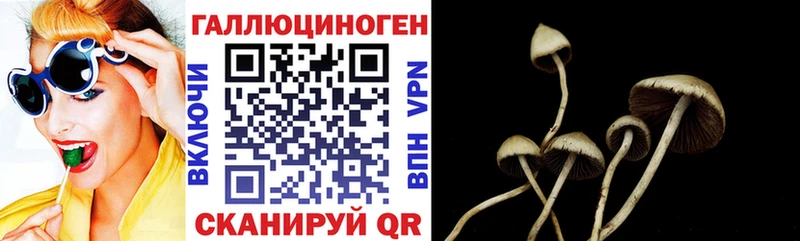 цена наркотик  Сельцо  Псилоцибиновые грибы Magic Shrooms 